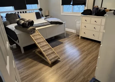 Home Cleaner