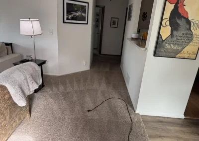 House Cleaners
