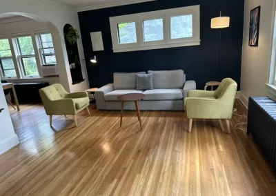 Professional Cleaning Services (10)