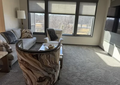 Professional Cleaning Services (14)