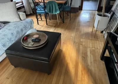 Professional Cleaning Services (15)