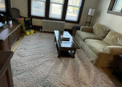 Professional Cleaning Services (16)