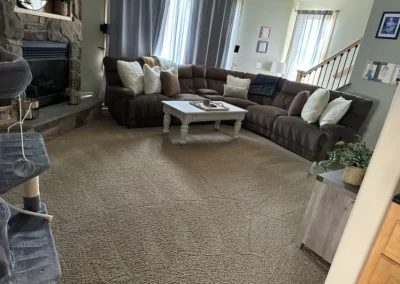 Professional Cleaning Services (17)