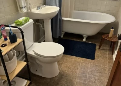 Professional Cleaning Services (18)