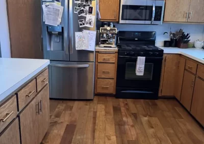 Professional Cleaning Services (2)