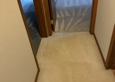 Professional Cleaning Services (20)