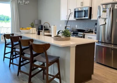 Professional Cleaning Services (21)