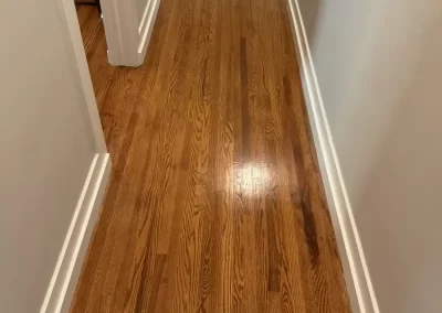 Professional Cleaning Services (3)