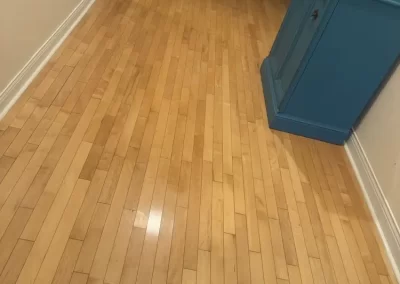 Professional Cleaning Services (4)