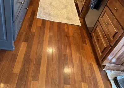 Professional Cleaning Services (5)
