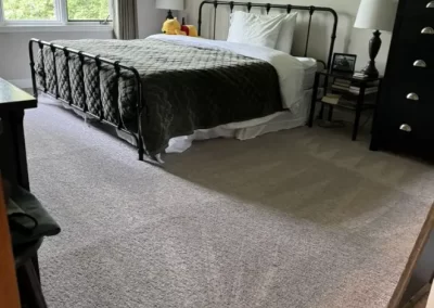 Professional Cleaning Services (6)