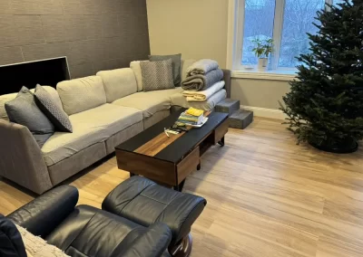 Professional Cleaning Services (7)