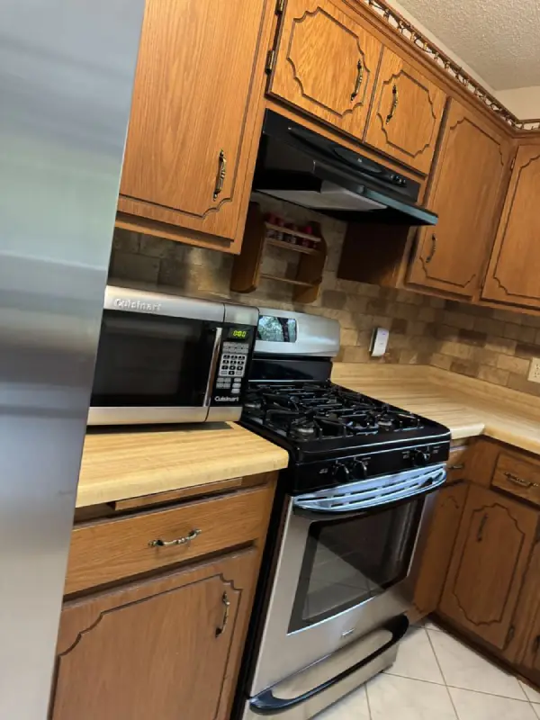 Professional Home Cleaner